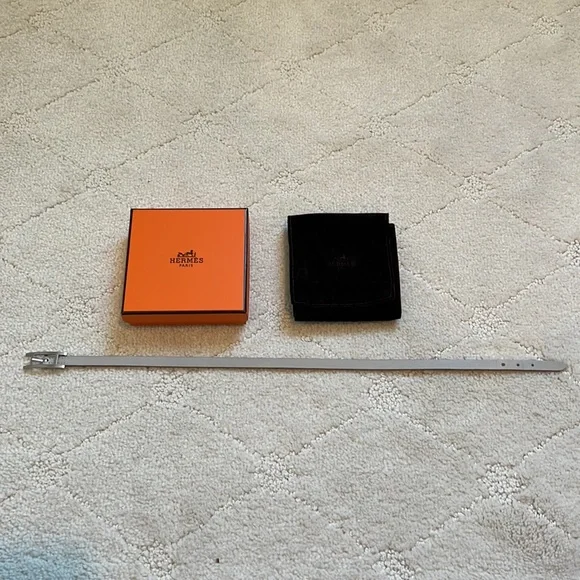 Hermes Hapi- like new in box with dust bag- brushed titanium hardware